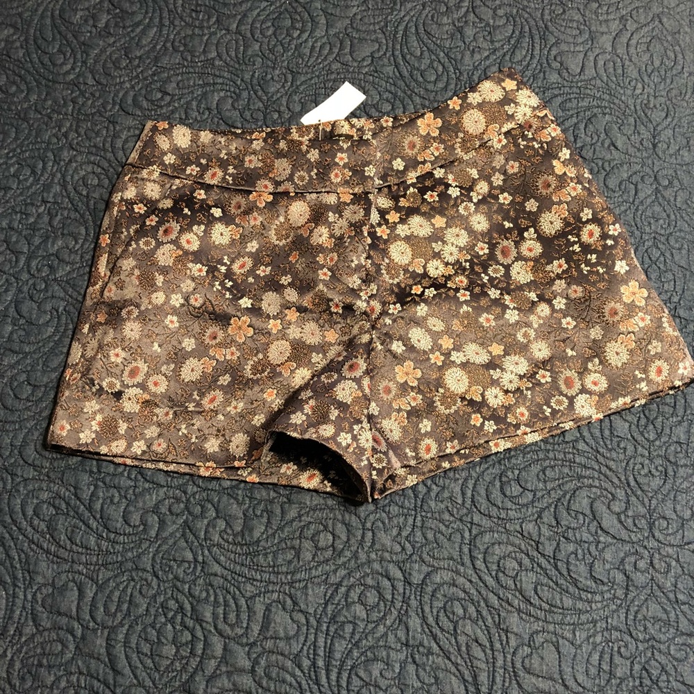 Ann Taylor LOFT Short